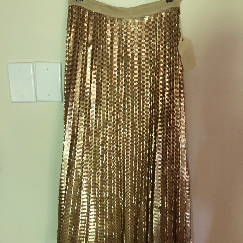 Anthropologie Skirt